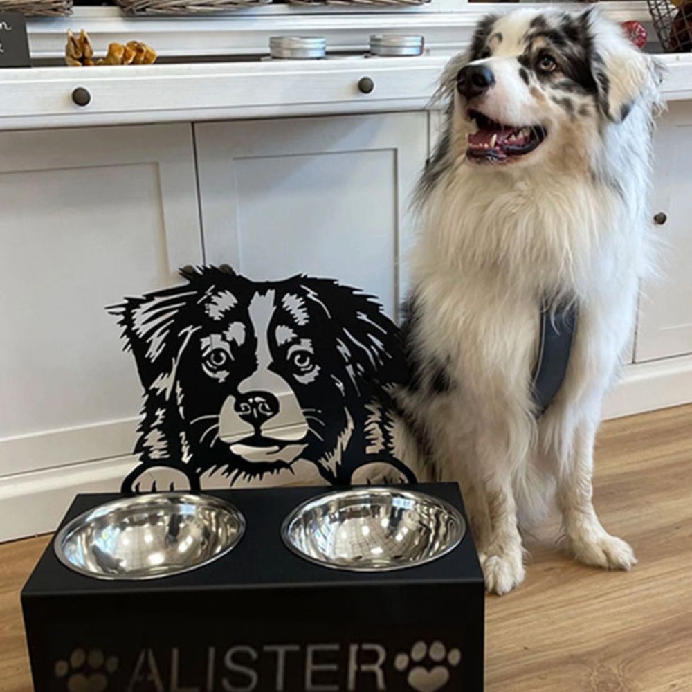 COMEDERO PERSONALIZADO PARA MASCOTAS 🐶
